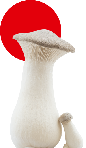 Kräuterseitlinge vor einem roten Kreis